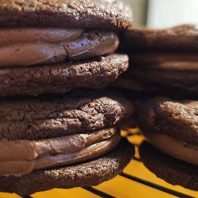 Chocolate Dreamwhich 