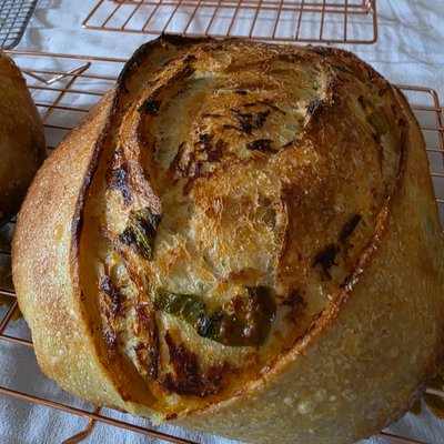 Cheddar Jalapeño sourdough 