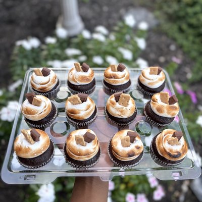 12  Regular Size Count Cupcakes  