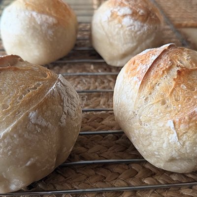 Sourdough Dinner Rolls 