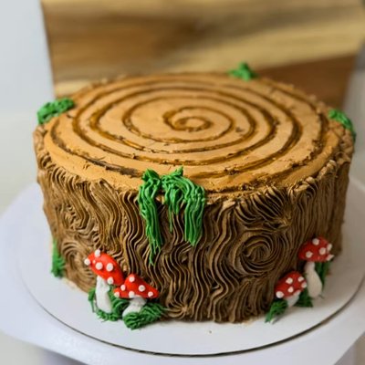 8in 2 Layer Custom Cake 