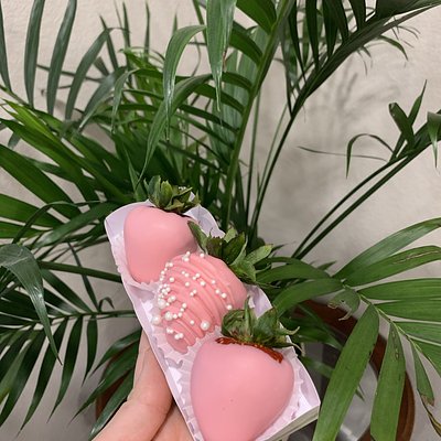 Chocolate Covered Berries