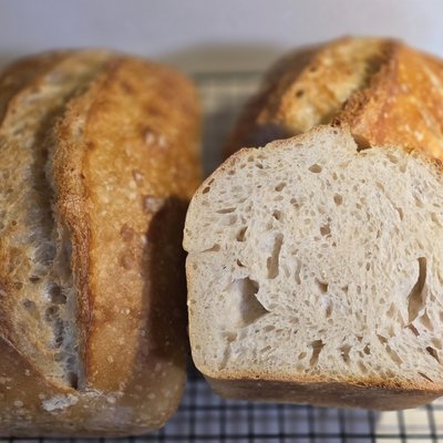 Plain Sourdough Loaf