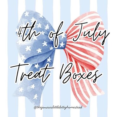 4th of July: Taste Like Freedom Treat Boxes ❤️🤍💙