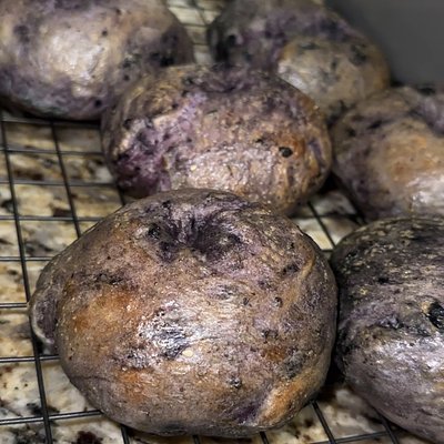 Blueberry Sourdough Bagels 