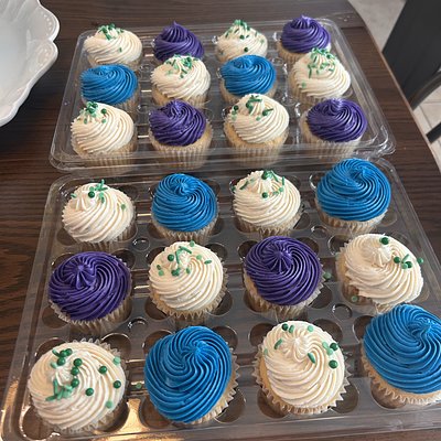 Cupcakes By The Dozen