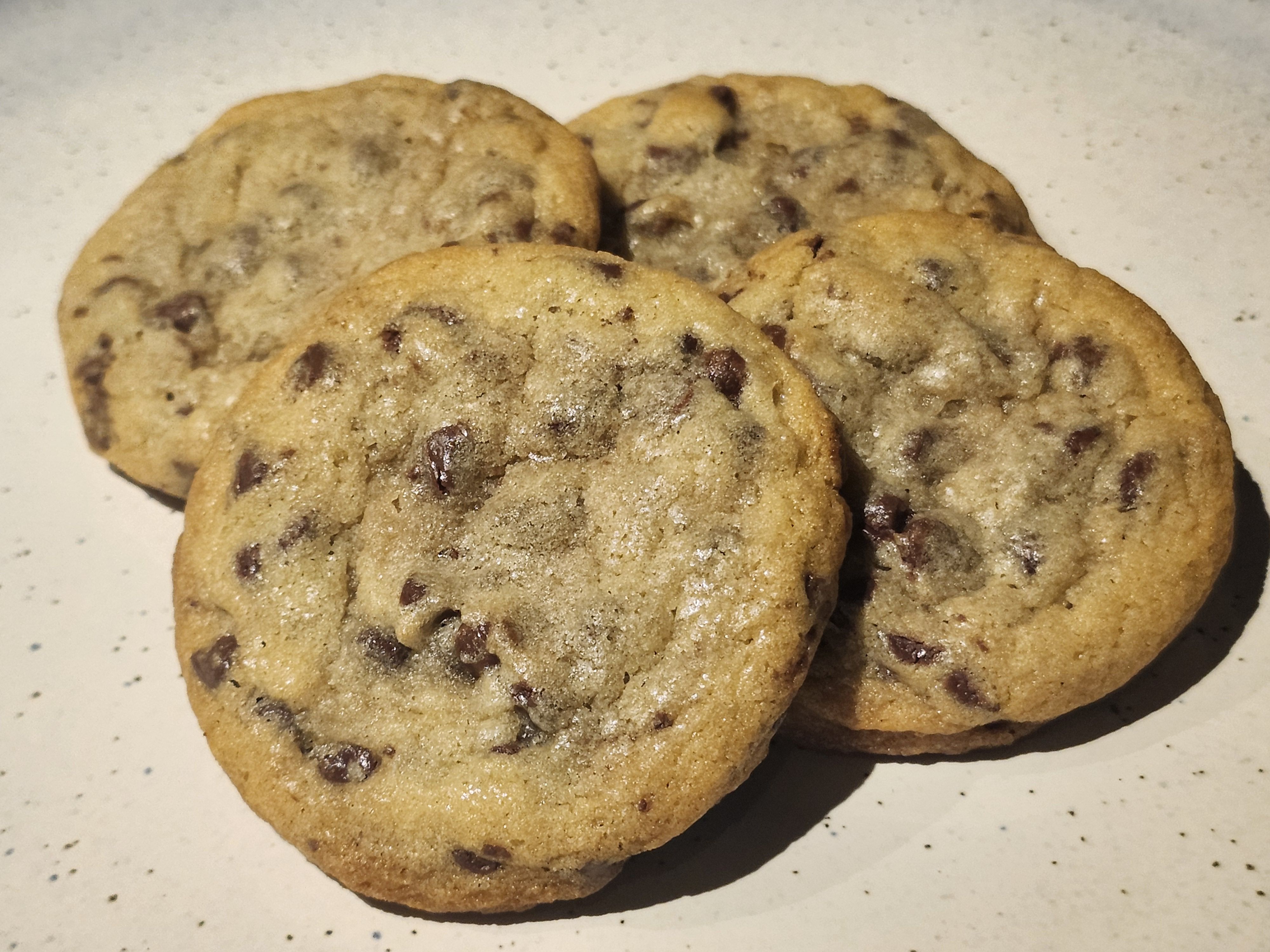 Chocolate Chip 