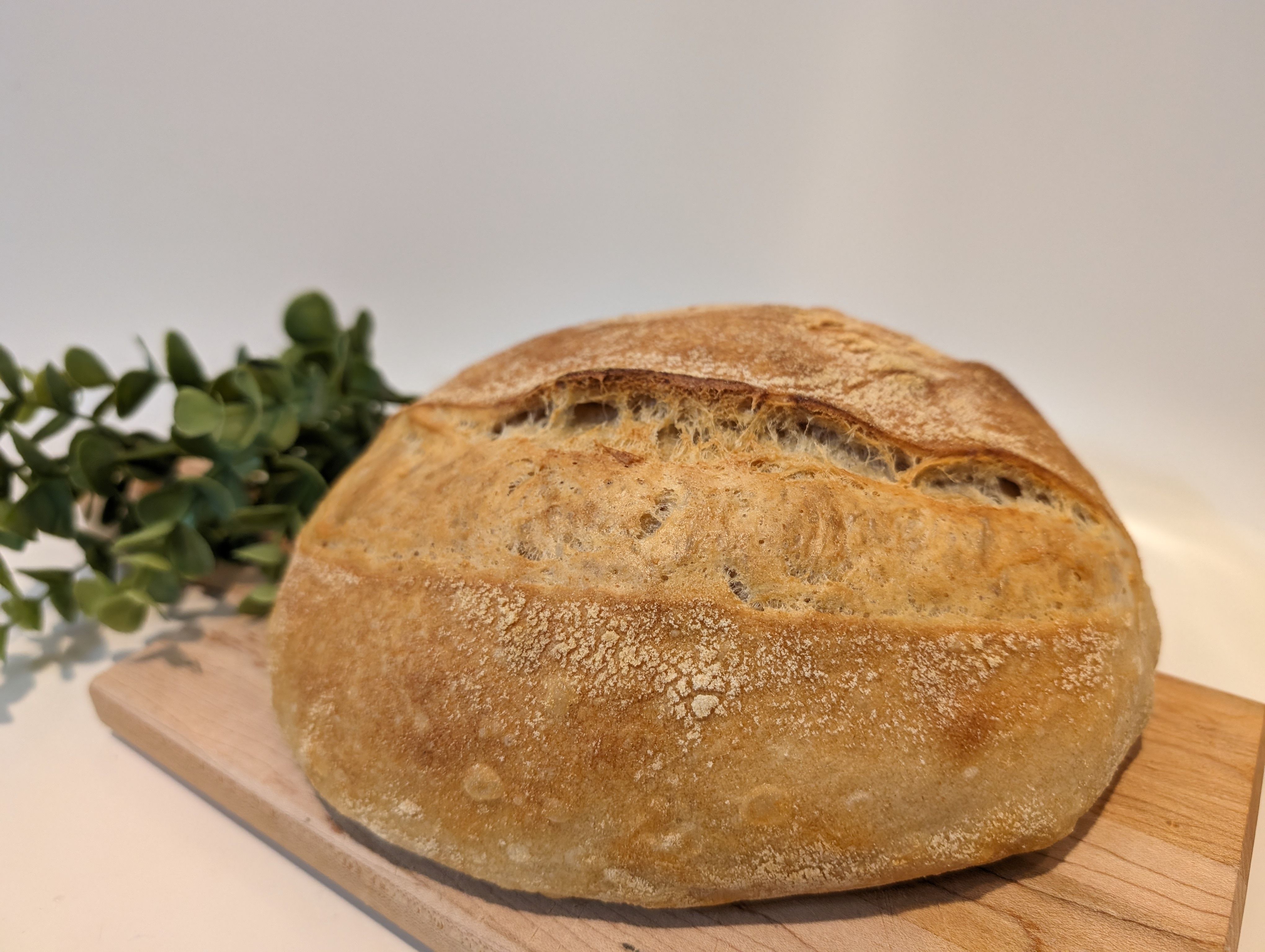 Large loaf: Plain Jane Sourdough