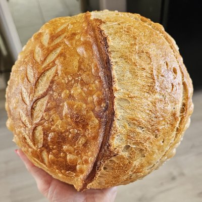 10% Whole Wheat Sourdough Boule