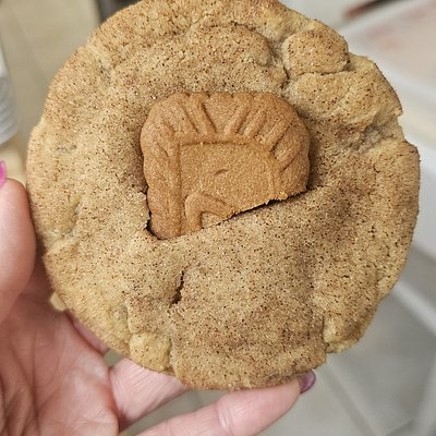 Cookie Butter Snickerdoodles
