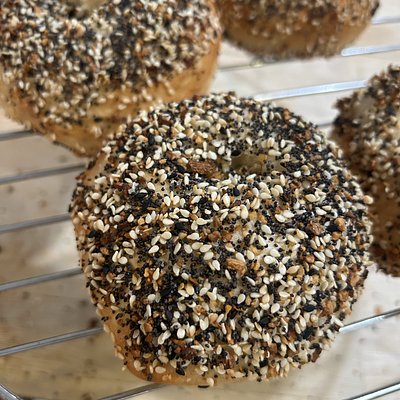 (4) Everything Sourdough Bagels