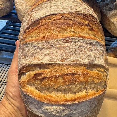 Country Honey Wheat Sourdough Batard