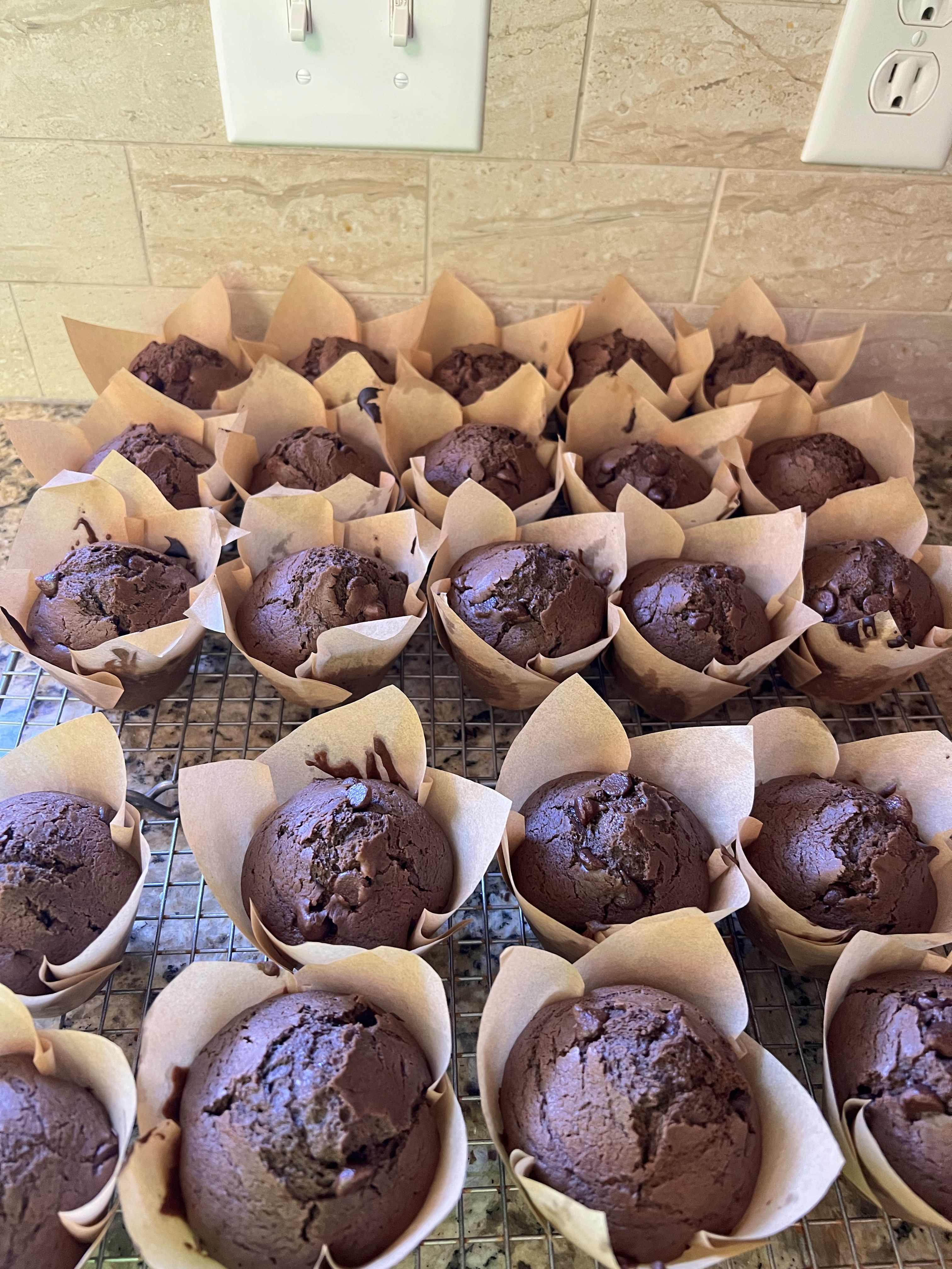 Chocolate Chocolate Chip Sourdough Muffins
