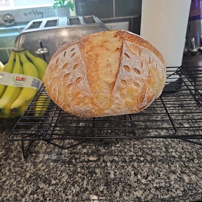 Large CLASSIC SOURDOUGH BREAD 