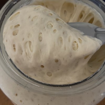 Elevens Sourdough Starter