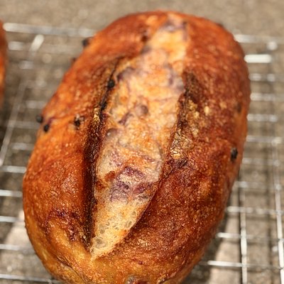 Blueberry Sourdough