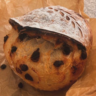 Chocolate Chip