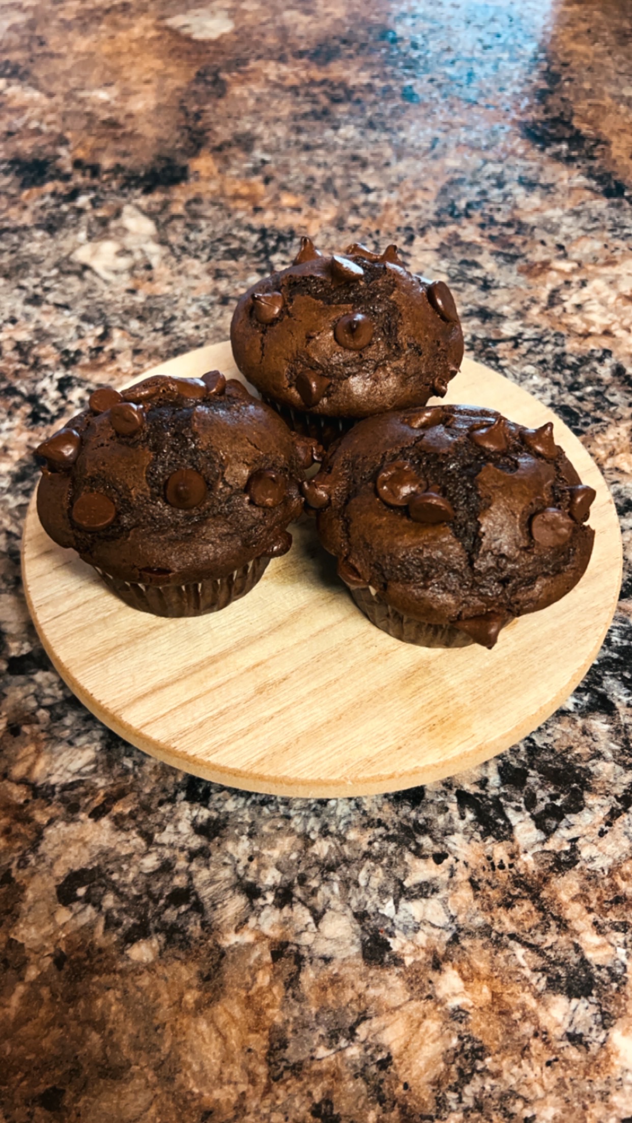 Double Chocolate Chip Muffins