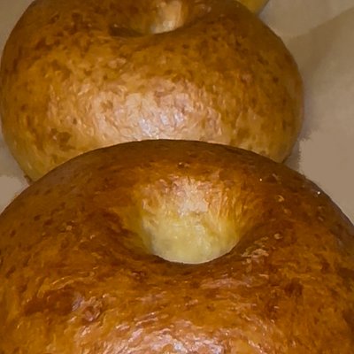 Plain Bagels 