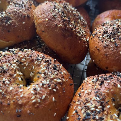 Everything Bagels