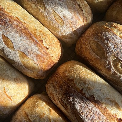 Plain Sourdough loaf