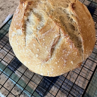 Grow’n Grace Signature Sourdough Bread 