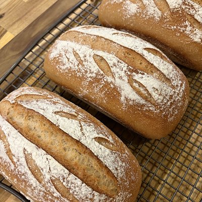 Gluten-free Sourdough 