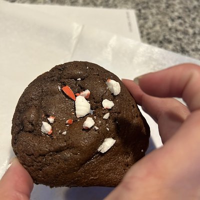 Hot Chocolate Cookies 
