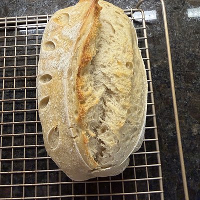 Plain Sourdough Loaf