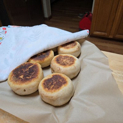 Sourdough English Muffins 