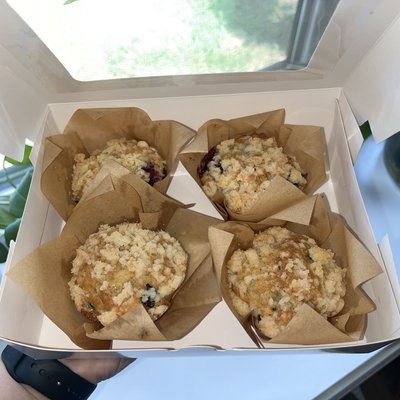 Blueberry Muffins (4ct)