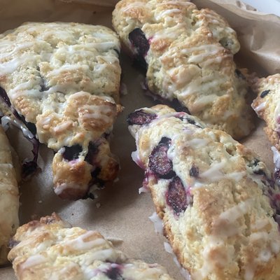 Lemon Blueberry Scones (8 Pcs)