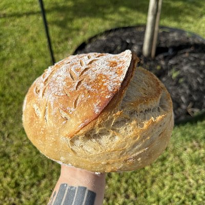 Original Sourdough