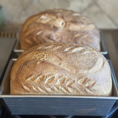 Artisan Sourdough Sandwich Loaf