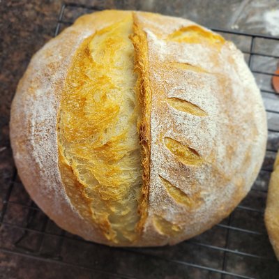 Sourdough Bread