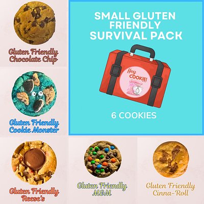 Small Gluten Friendly Survival Pack