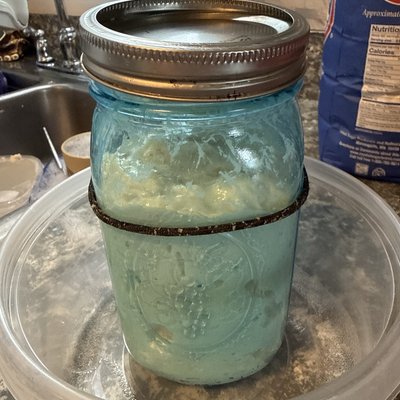 Active sourdough starter