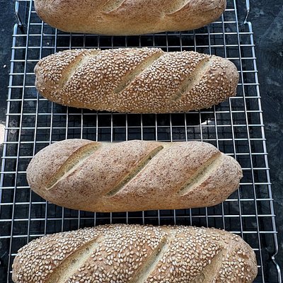 Gluten Free Sandwich Rolls (4) 