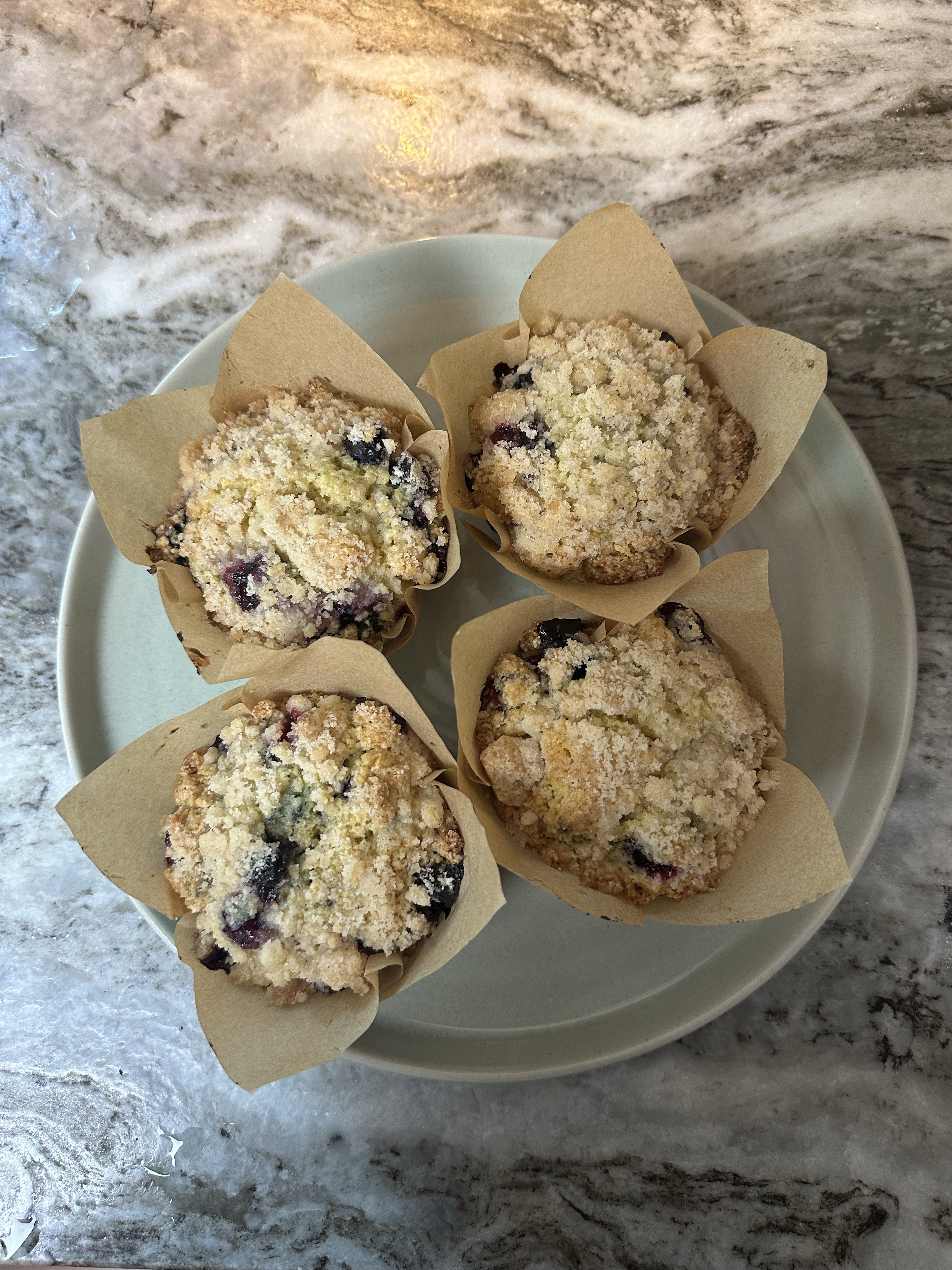 Blueberry Sourdough Muffins 