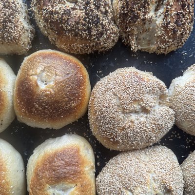 1/2 dozen assorted organic sourdough bagels  