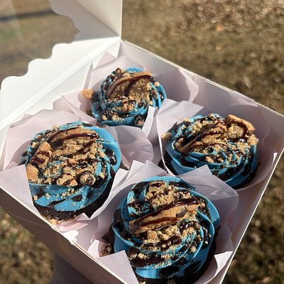 6CT Cookie Monster💙🍪