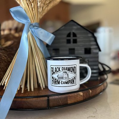 BDFC Campfire Mug 