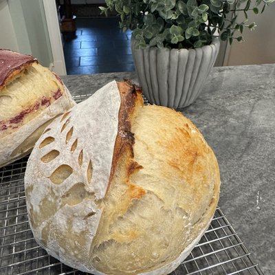 Plain Artisan Sourdough