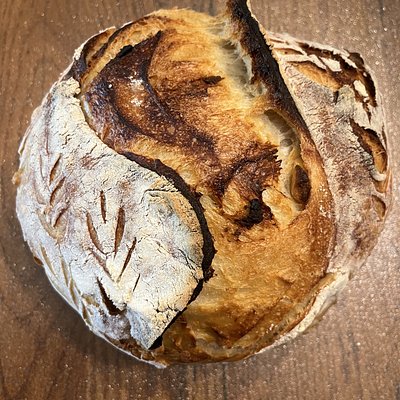 Roasted Garlic Sourdough 