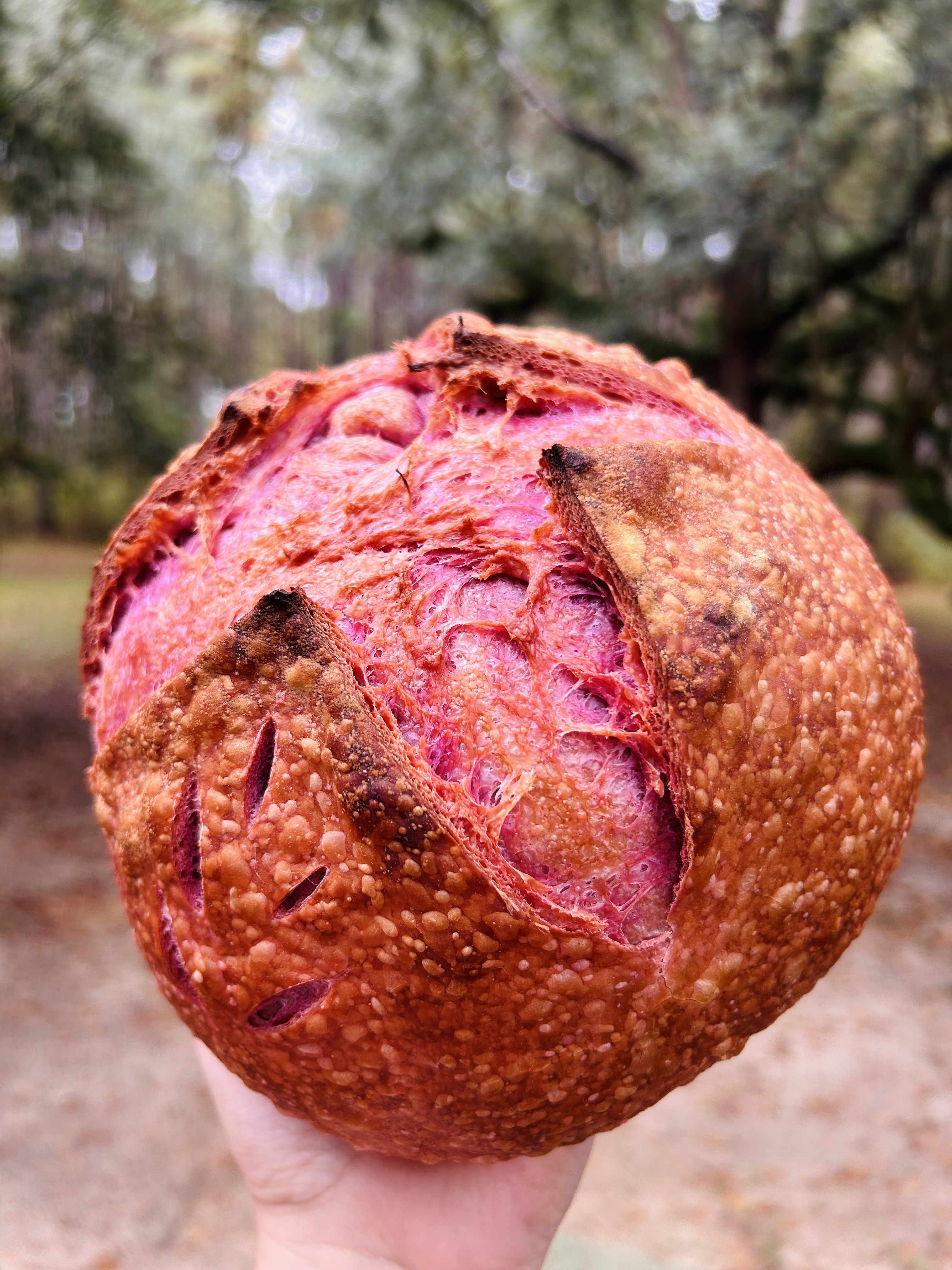Ube Sourdough Loaf 