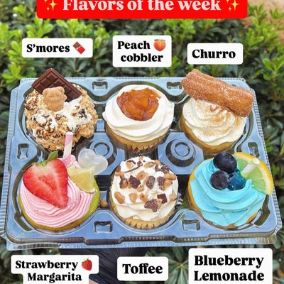 Assorted Cupcakes 6 Count