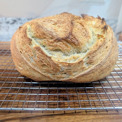 Garlic Parmesan Artisan Bread 