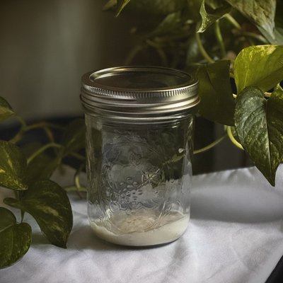 Sourdough Starter (16oz Jar)