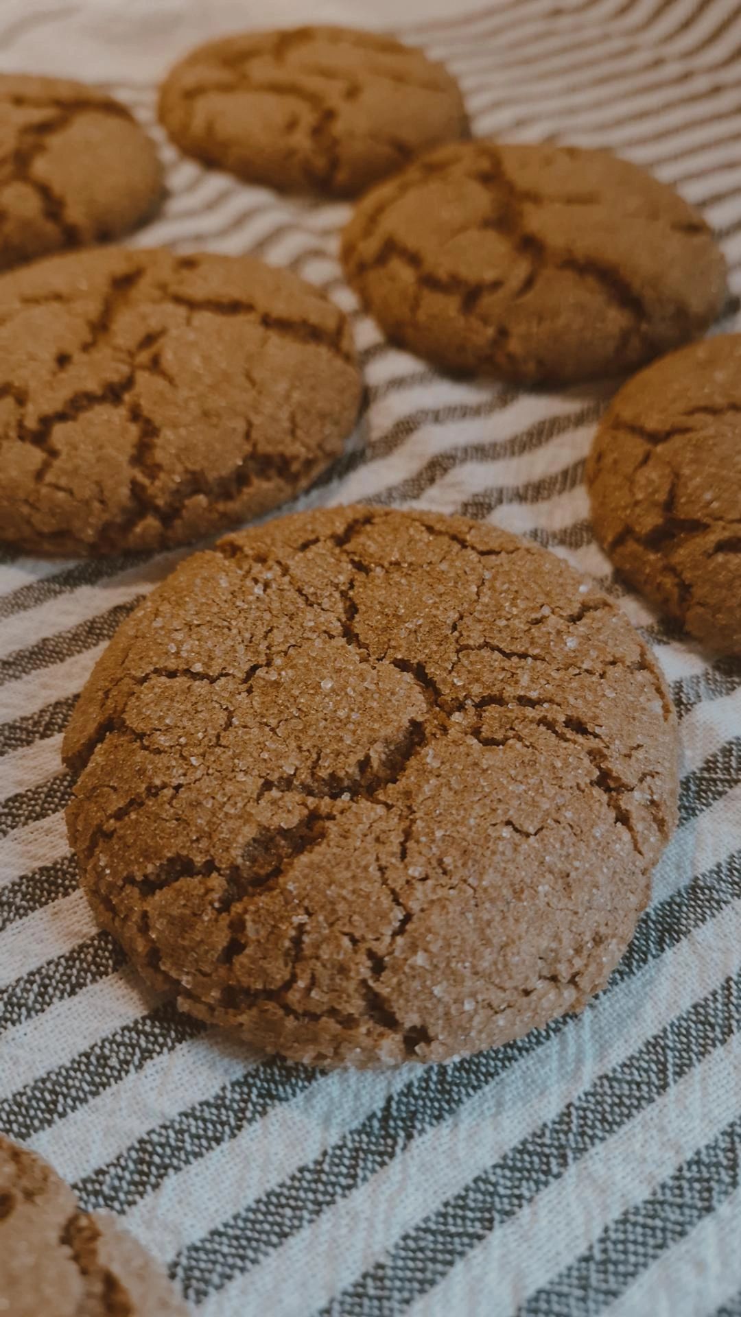 Freshly-Milled Whole Wheat Molasses Cookies 