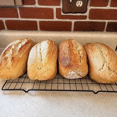Regular Sourdough Loaf